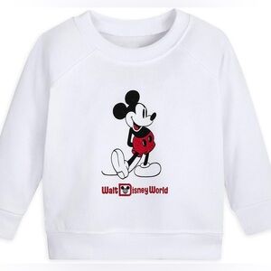 NWT Disney Mickey Mouse Walt Disney World Pullover Sweatshirt Size 3-6 Month
